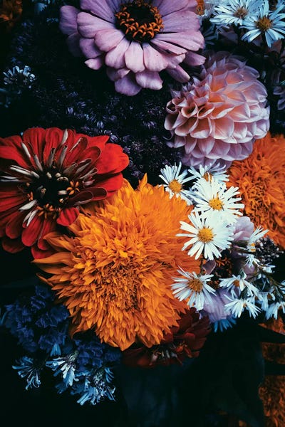 Honeymoon Hotel: Dark Florals by Honeymoon Hotel