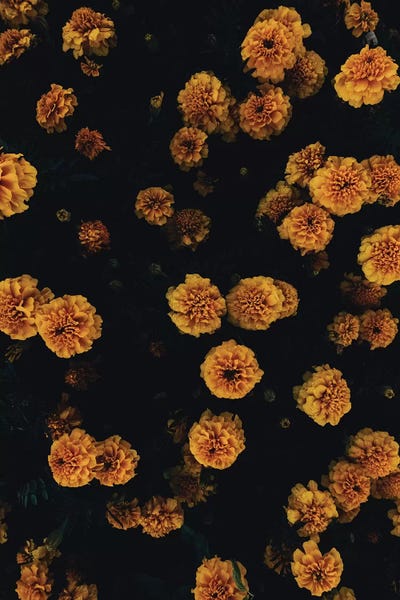 Golden Florals by Honeymoon Hotel acrylic art print