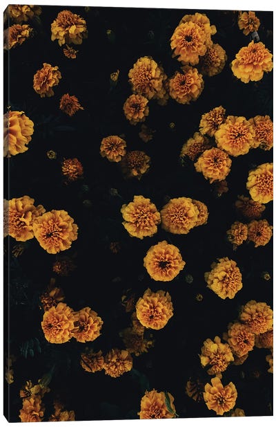 Golden Florals Canvas Art Print - Orange Art