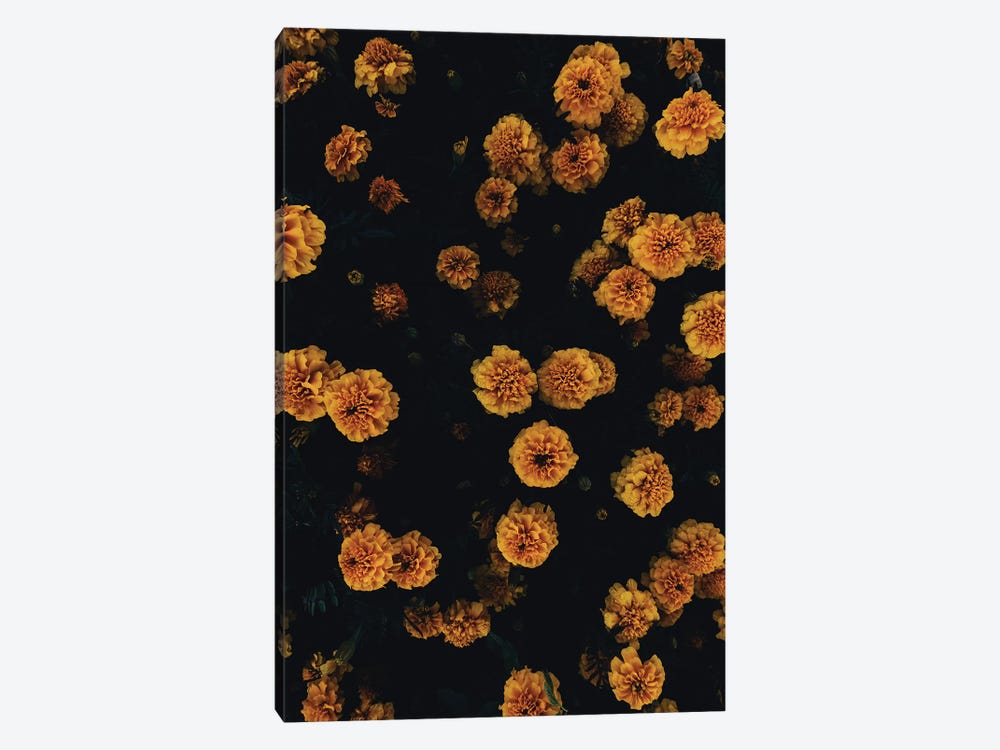Golden Florals by Honeymoon Hotel 1-piece Canvas Print
