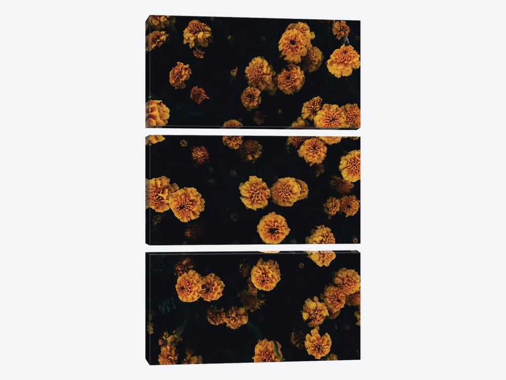 Golden Florals by Honeymoon Hotel 3-piece Canvas Print
