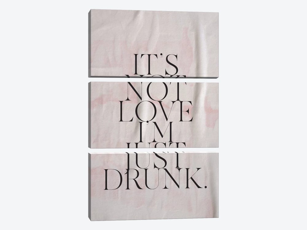 It's Not Love by Honeymoon Hotel 3-piece Canvas Artwork