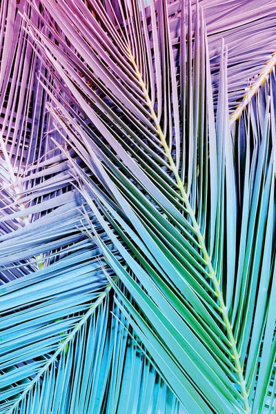 Beach Lover: Rainbow Posey by Honeymoon Hotel