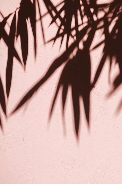 Color Palettes: Shadows by Honeymoon Hotel