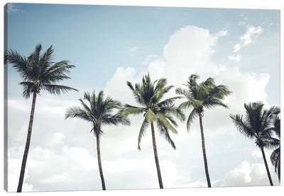 Blowing Palms Canvas Art Print - Beach Vibes