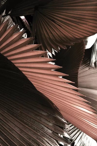 Honeymoon Hotel: Exposure by Honeymoon Hotel