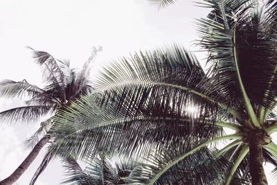 L.A. by Honeymoon Hotel acrylic art print