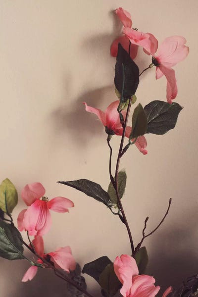 Petals At Dusk by Honeymoon Hotel acrylic art print