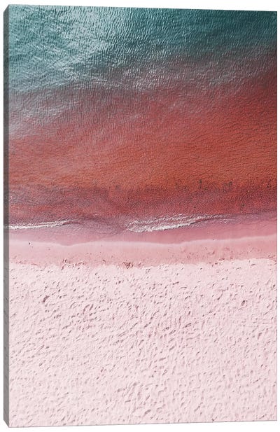 Pink Earth Canvas Art Print - Beach Vibes