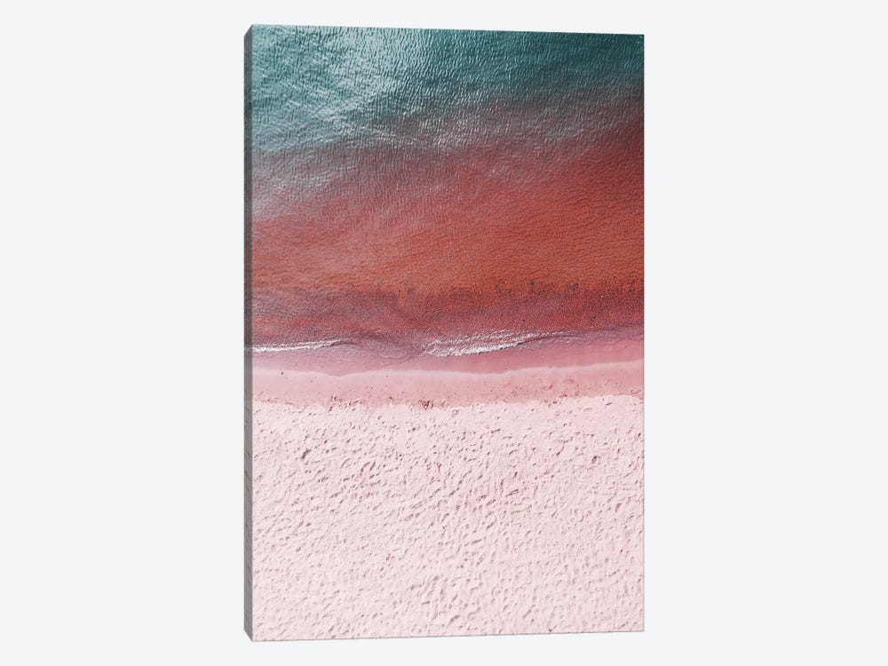 Pink Earth by Honeymoon Hotel 1-piece Canvas Artwork