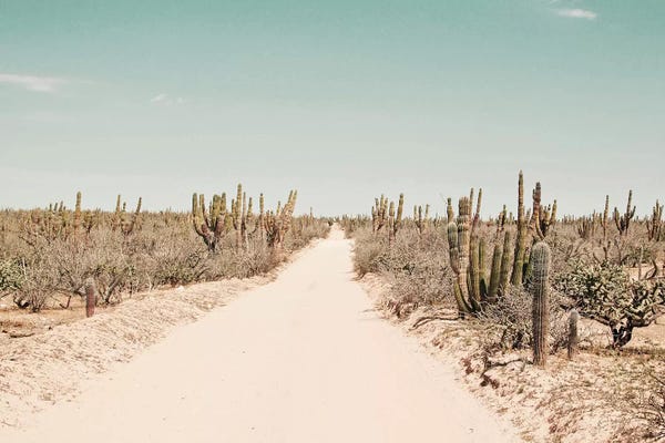 Vintage Styled Photography: The Dust by Honeymoon Hotel