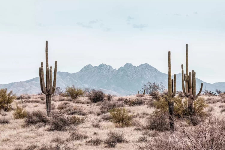 The Peak by Honeymoon Hotel wall art