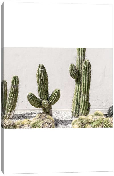Deserted Canvas Art Print - Cactus Art