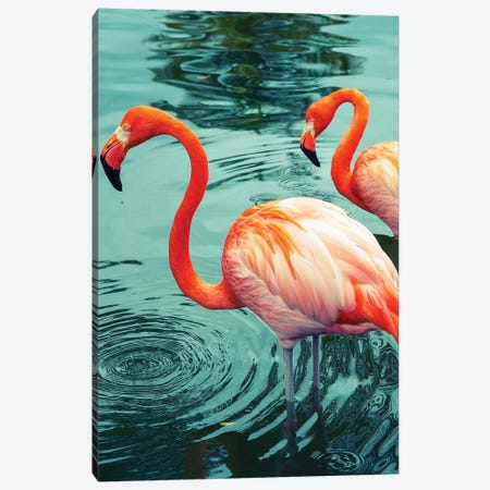Flamingo Canvas Print #HON89} by Honeymoon Hotel Canvas Art
