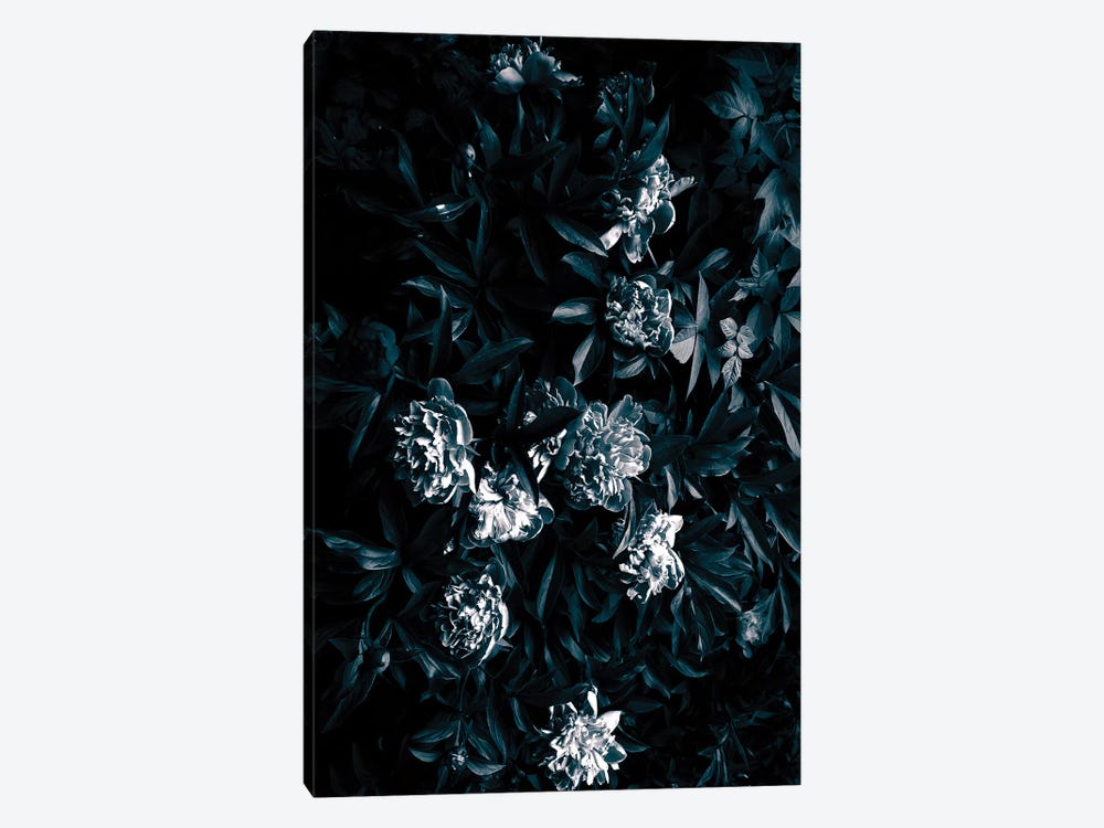 Florals After Dark by Honeymoon Hotel 1-piece Canvas Art