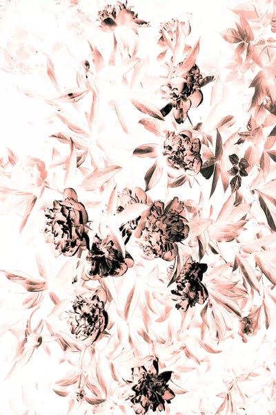 Honeymoon Hotel: Florals After Dark (Bleached) by Honeymoon Hotel