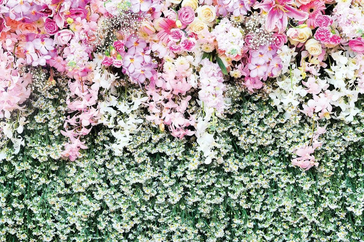 Flower Carpet