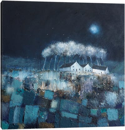 Winter Moon Canvas Art Print - Lisa House