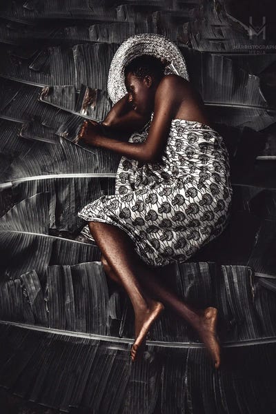 African Heritage: Fragment Of Serenity by Harry Odunze