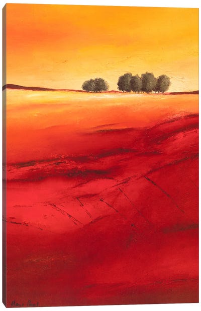 Tree Timberline II Canvas Art Print - Countryside Art