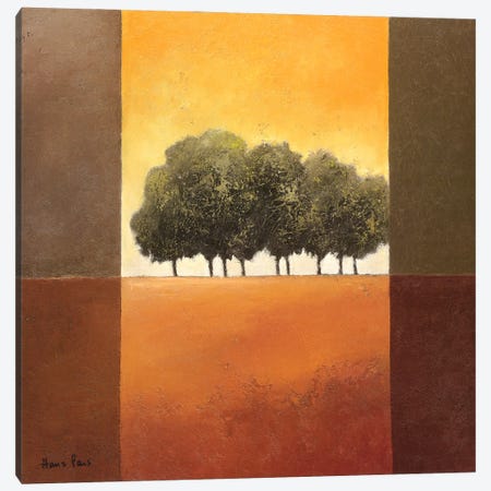 Trees III Canvas Print #HPA109} by Hans Paus Canvas Wall Art