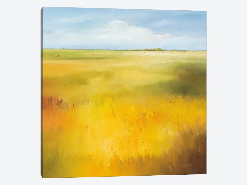 Yellow Field I by Hans Paus 1-piece Canvas Art