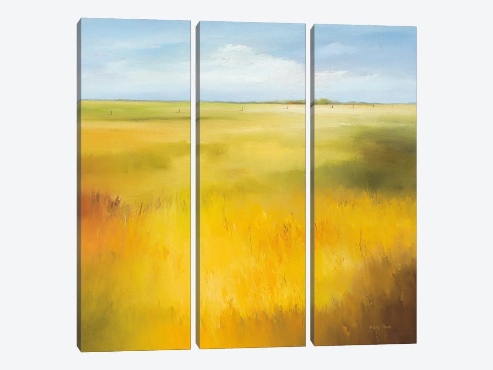 Yellow Field I by Hans Paus 3-piece Canvas Art