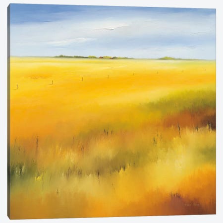 Yellow Field II Canvas Print #HPA132} by Hans Paus Art Print
