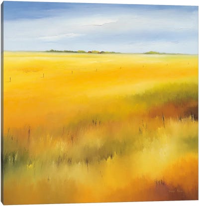 Yellow Field II Canvas Art Print - Hans Paus