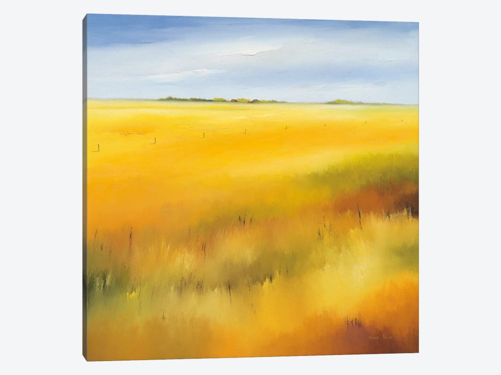 Yellow Field II by Hans Paus 1-piece Canvas Art Print