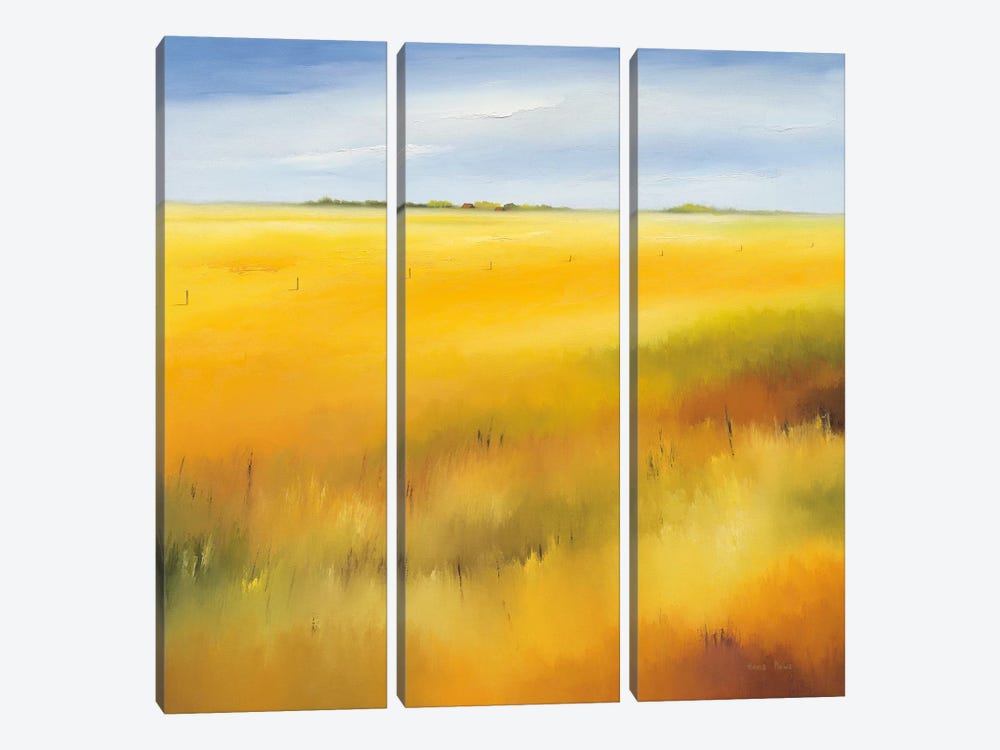 Yellow Field II by Hans Paus 3-piece Canvas Art Print