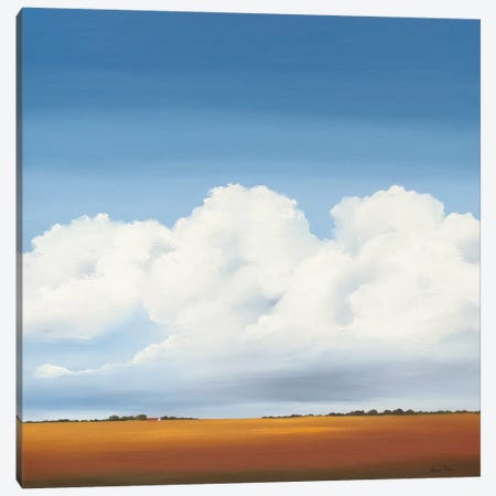 Clouds I Canvas Print #HPA17} by Hans Paus Canvas Art