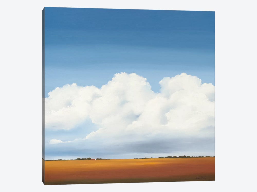 Clouds I by Hans Paus 1-piece Canvas Print