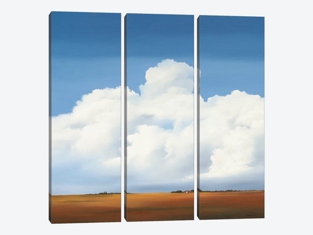 Clouds II by Hans Paus 3-piece Canvas Wall Art