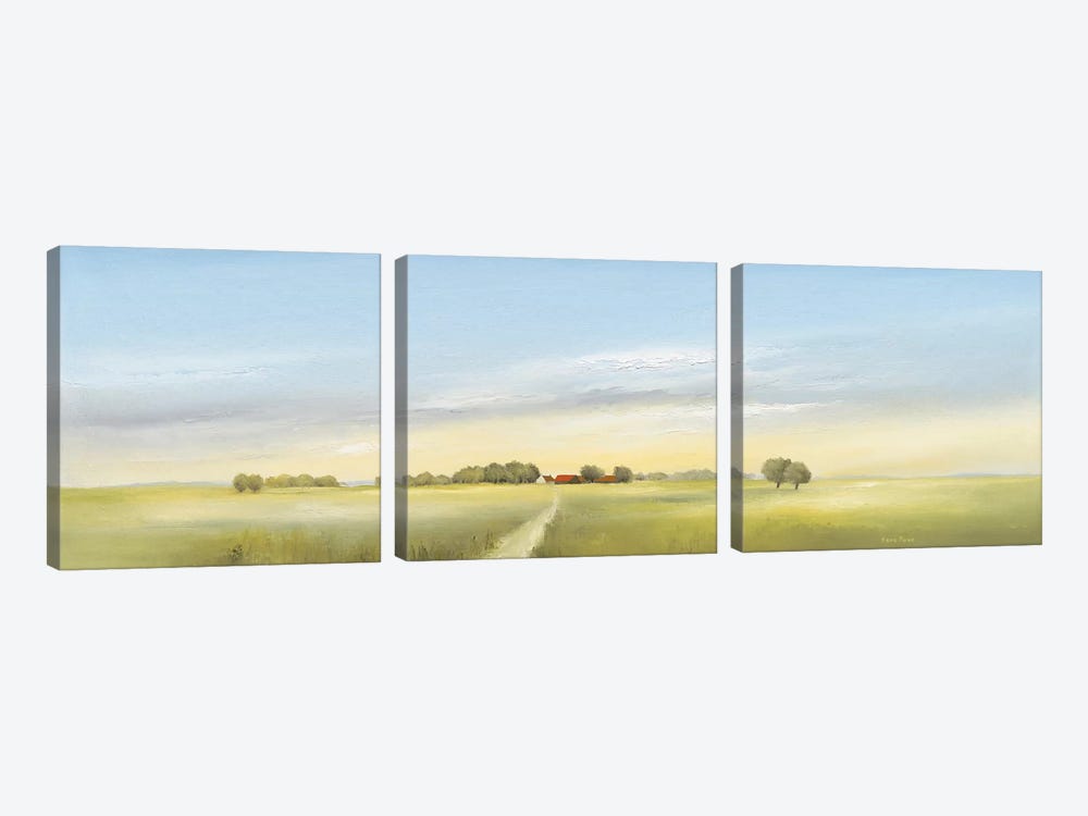 Lowlands II by Hans Paus 3-piece Canvas Art