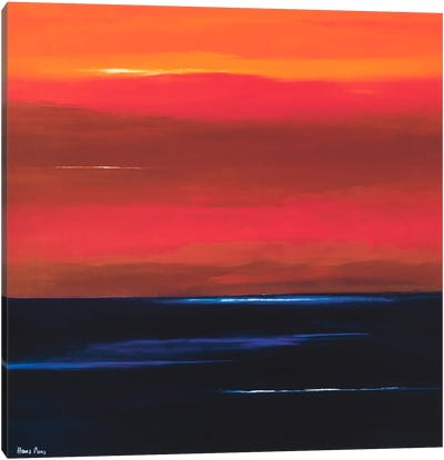 Afterglow I Canvas Art Print - Hans Paus