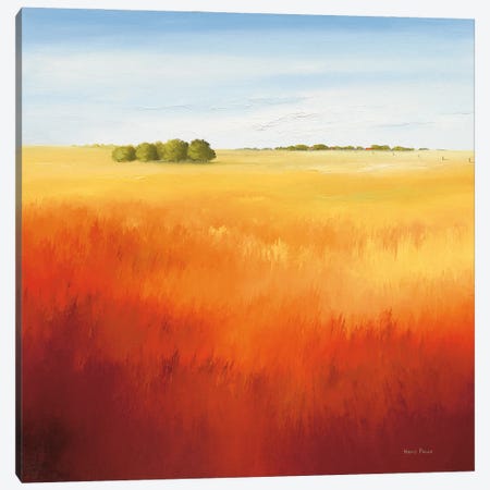 Red Field II Canvas Print #HPA72} by Hans Paus Art Print
