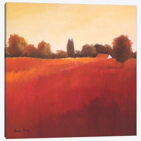 Scarlet Landscape III Canvas Print #HPA74} by Hans Paus Canvas Art