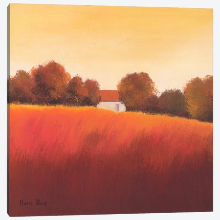 Scarlet Landscape IV Canvas Print #HPA75} by Hans Paus Canvas Art