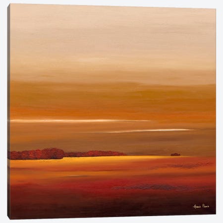 Sundown IV Canvas Print #HPA91} by Hans Paus Art Print