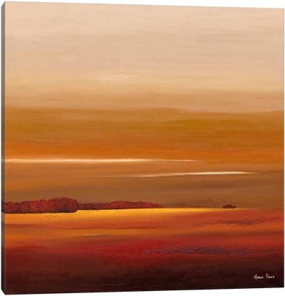 Sundown IV Canvas Art Print - Hans Paus