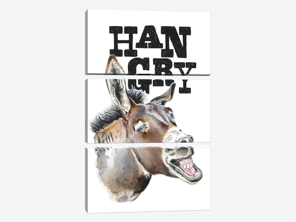 Hangry Donkey by Heather Perry 3-piece Canvas Art Print