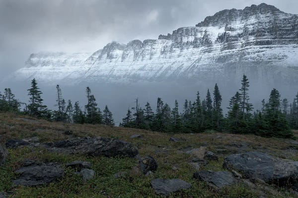 Snow: First Snow by Hunter Page