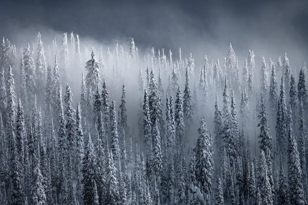 Snow: Smoke And Mirrors by Hunter Page