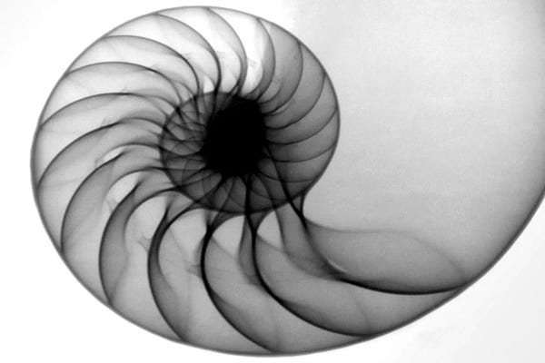 Hong Pham
