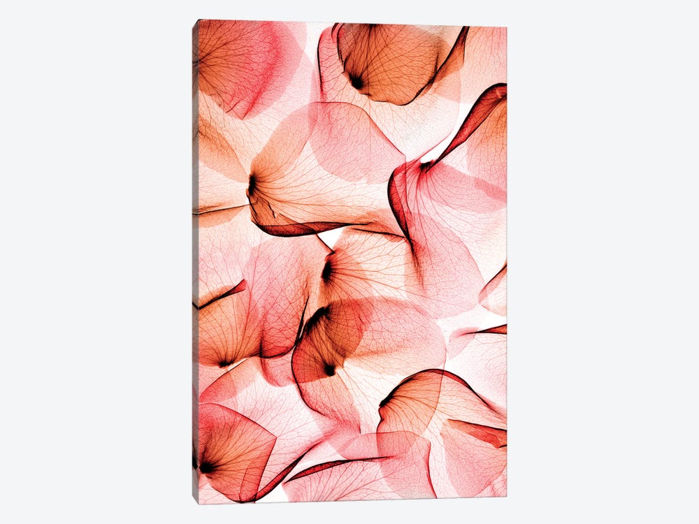 Roses by Hong Pham 1-piece Canvas Artwork