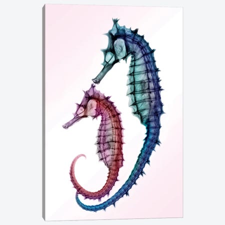 Seahorses Canvas Print #HPH15} by Hong Pham Art Print