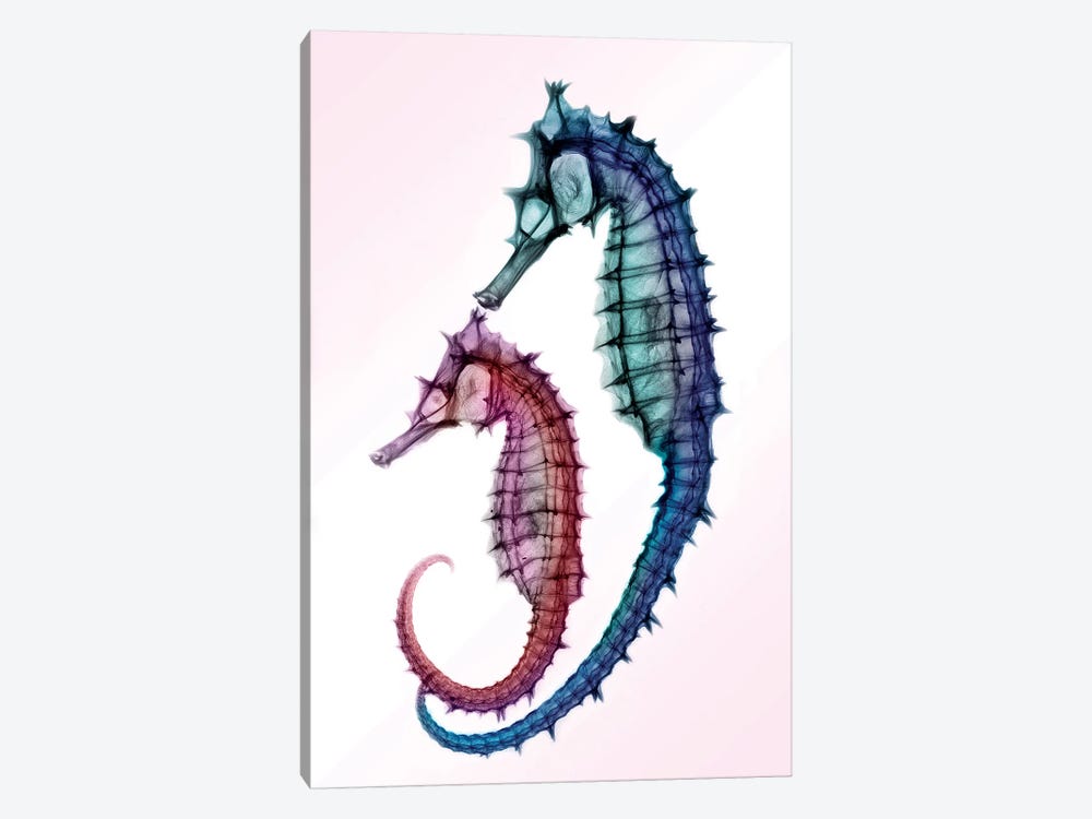 Seahorses by Hong Pham 1-piece Art Print