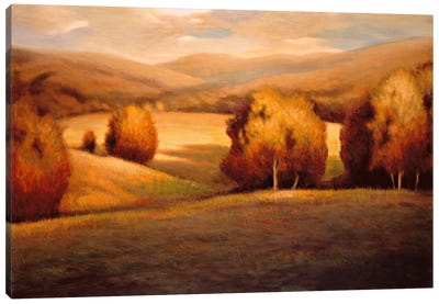 Backcountry I Canvas Art Print