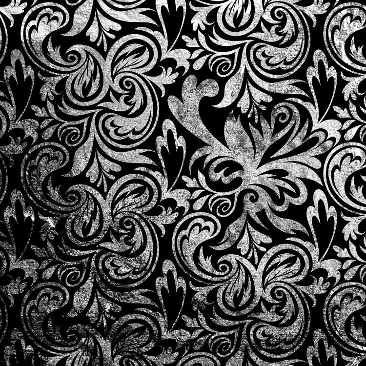 Secret View in Black & Silver by 5by5collective wall art